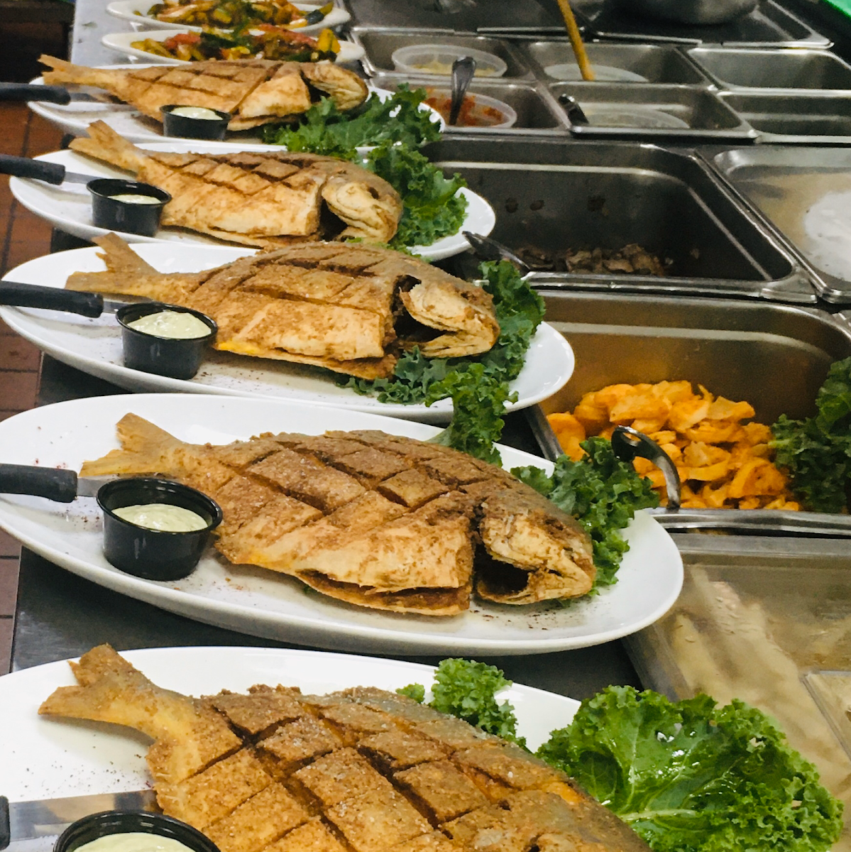 Slide Background Image